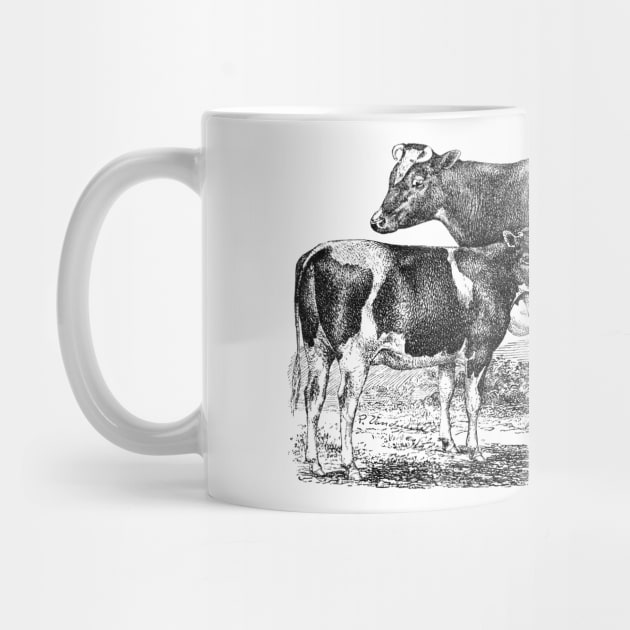 Cow with Calf Black and White Illustration by Biophilia